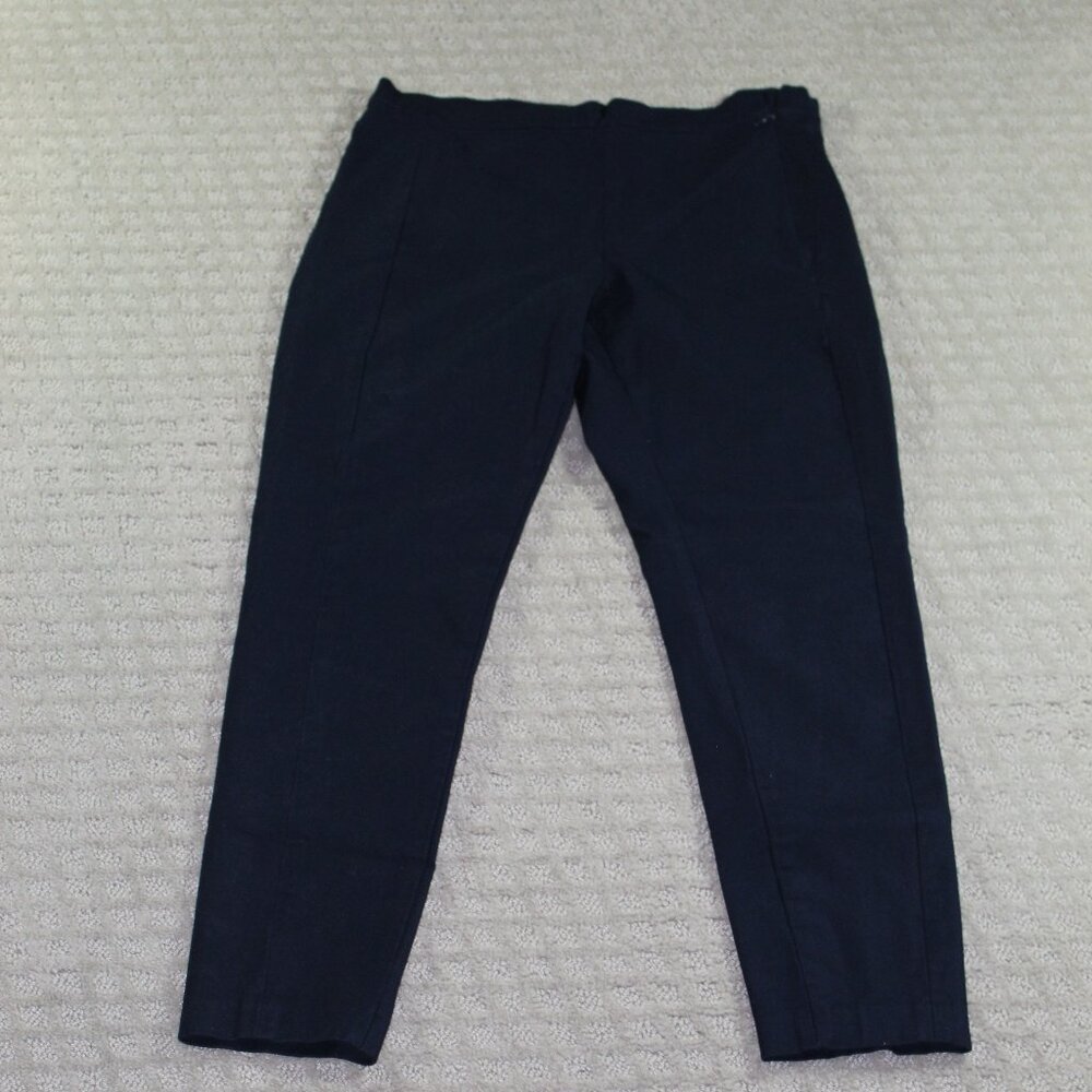 Banana Republic Size 6 Navy Blue Side Zip Slacks